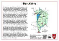 Alfsee II